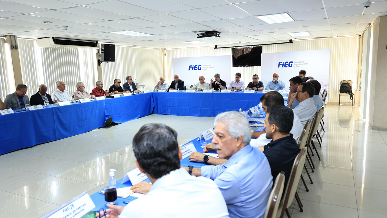 30ª Reunião da Diretoria Plena