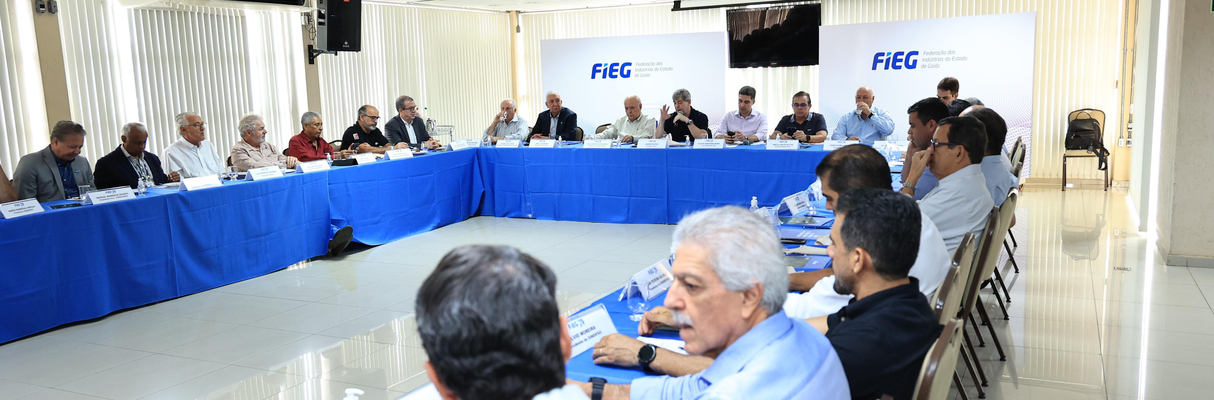 30ª Reunião da Diretoria Plena