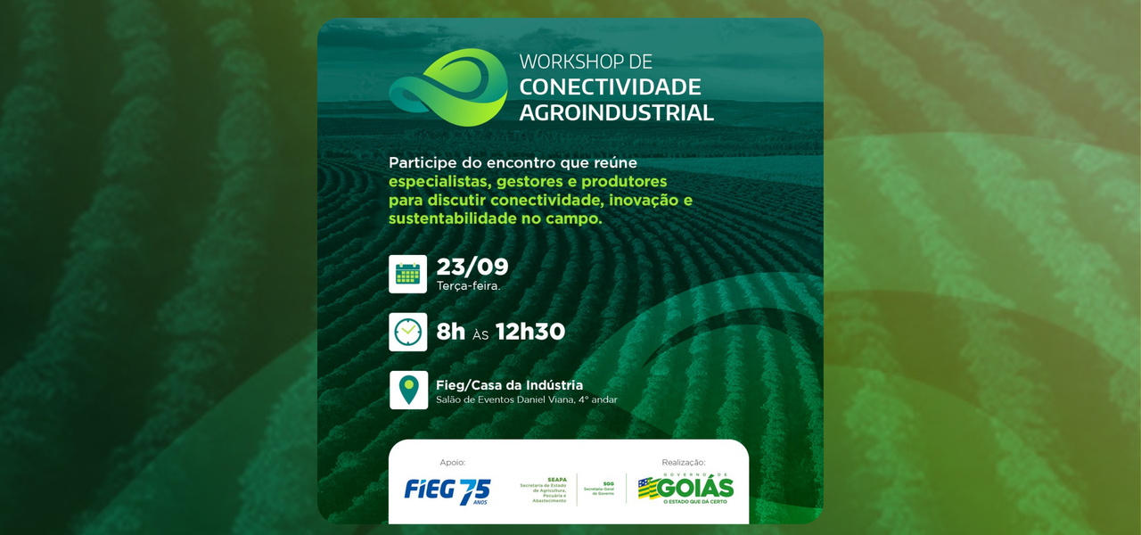 site - publicação (1)